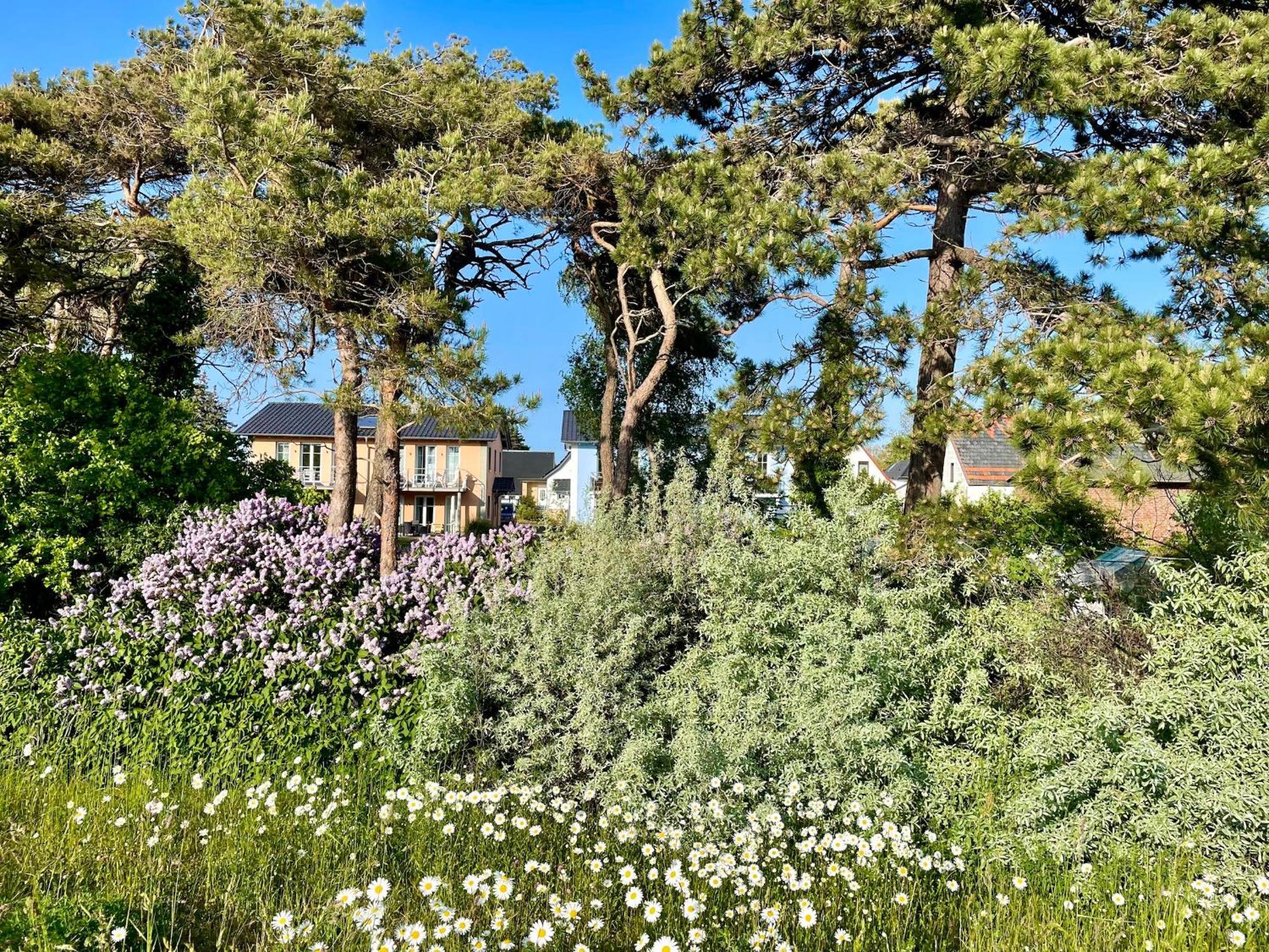Ferienwohnung1 In Der Villa Westwind Thiessow Εξωτερικό φωτογραφία